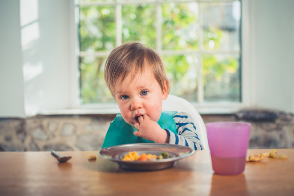 You are currently viewing Dinner Ideas for Toddlers