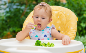 Read more about the article How to Use the Division of Responsibility Feeding Method with Your Toddler