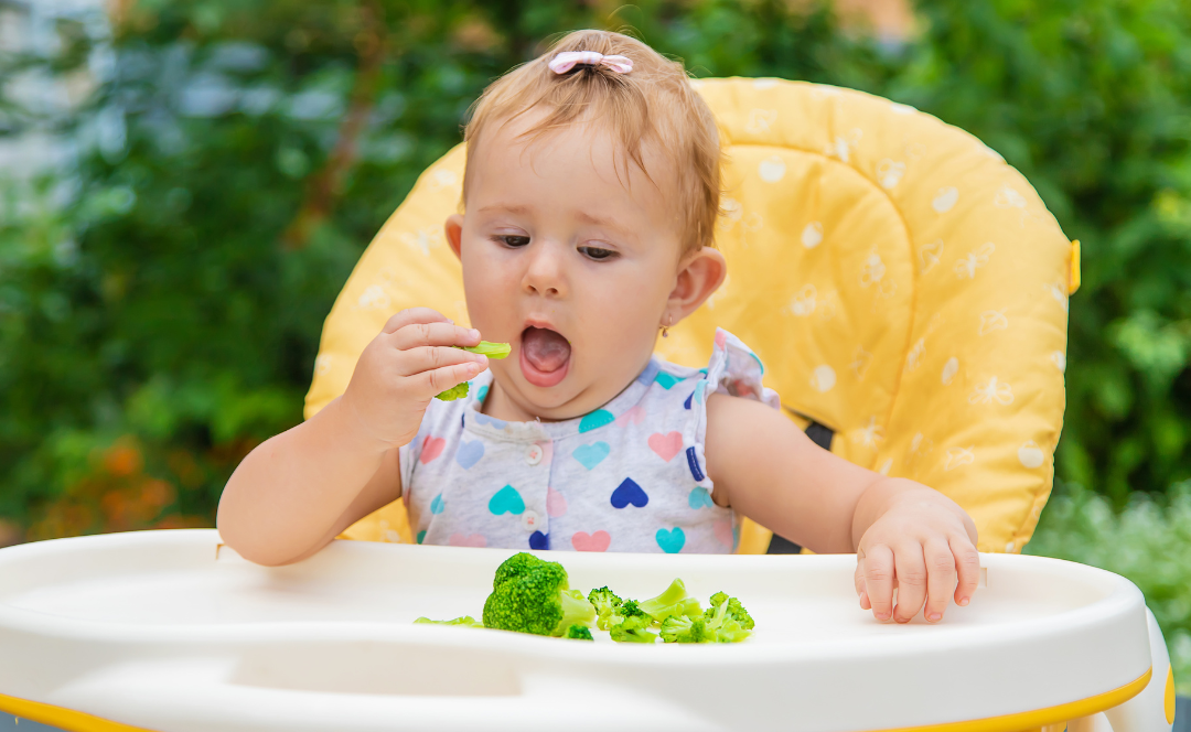 You are currently viewing How to Use the Division of Responsibility Feeding Method with Your Toddler