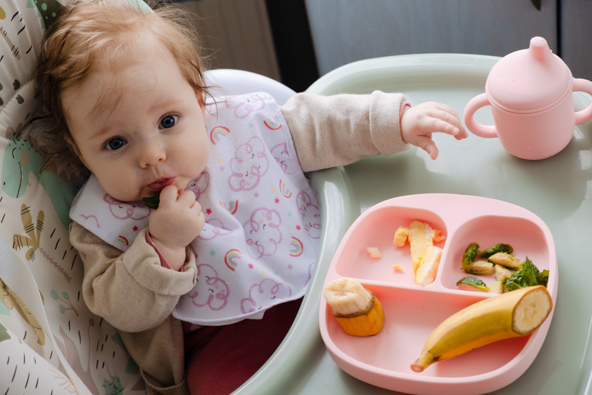 You are currently viewing Introdução Alimentar com Baby-Led Weaning