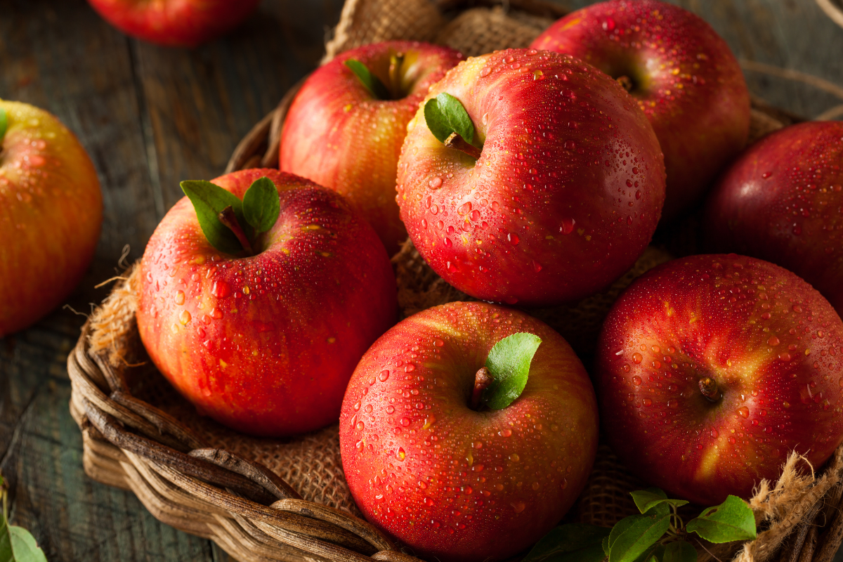 You are currently viewing How to Introduce Apples to Your Baby