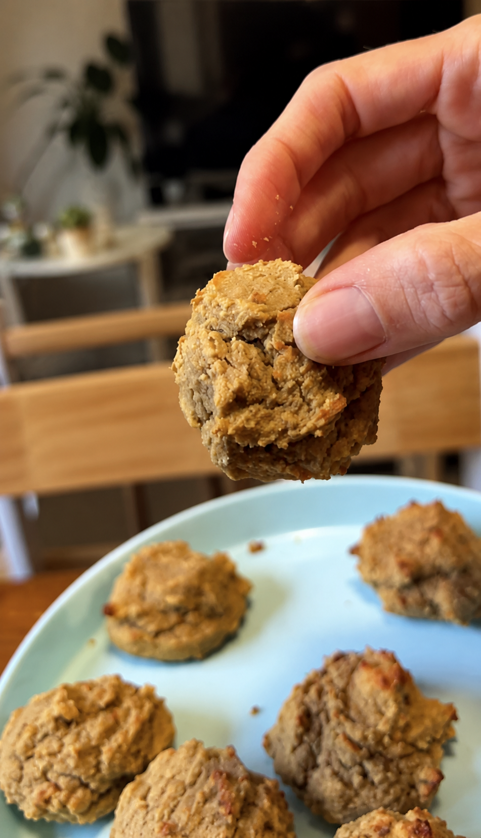 Banana Peanut Butter Chickpea Cookies